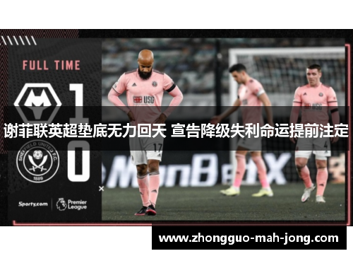 谢菲联英超垫底无力回天 宣告降级失利命运提前注定