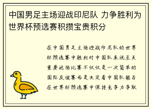 中国男足主场迎战印尼队 力争胜利为世界杯预选赛积攒宝贵积分