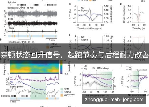 奈顿状态回升信号，起跑节奏与后程耐力改善